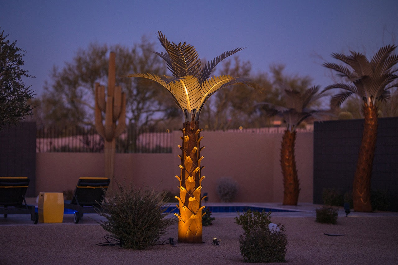 Paradise Palm