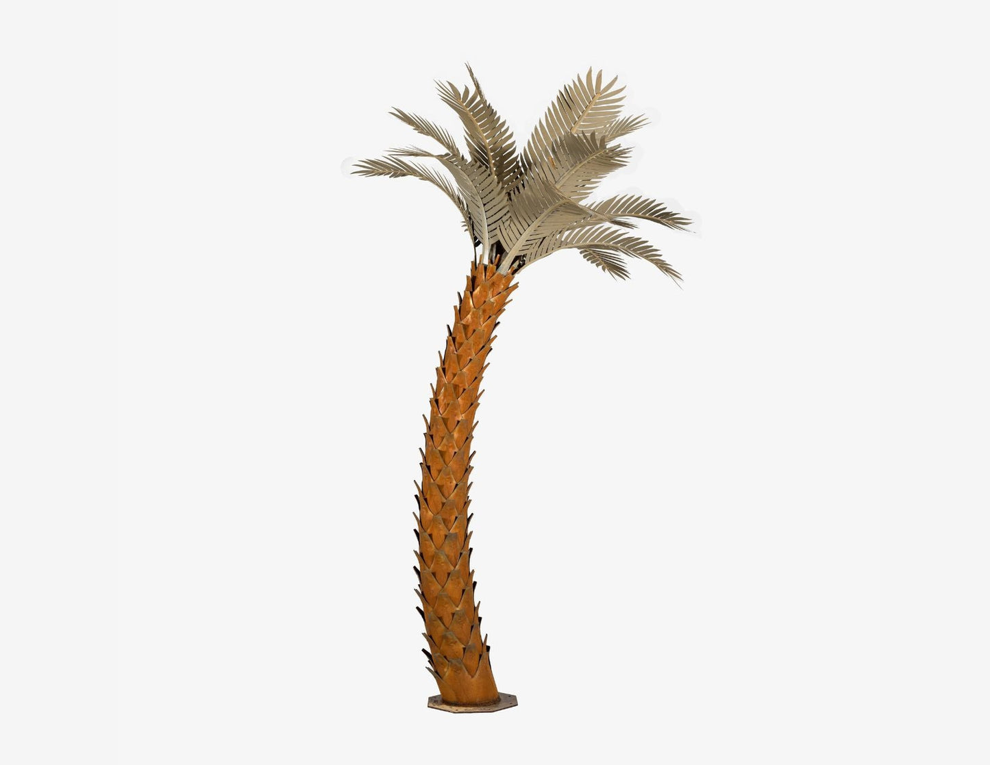 Sunset Palm