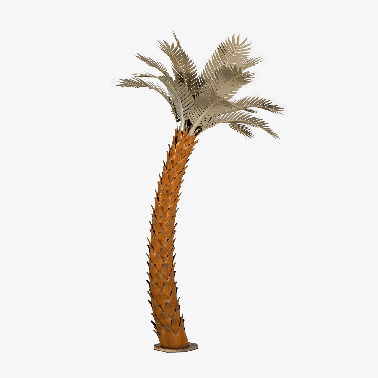 Sunset Palm