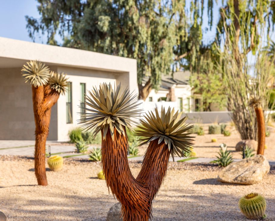 Joshua Tree