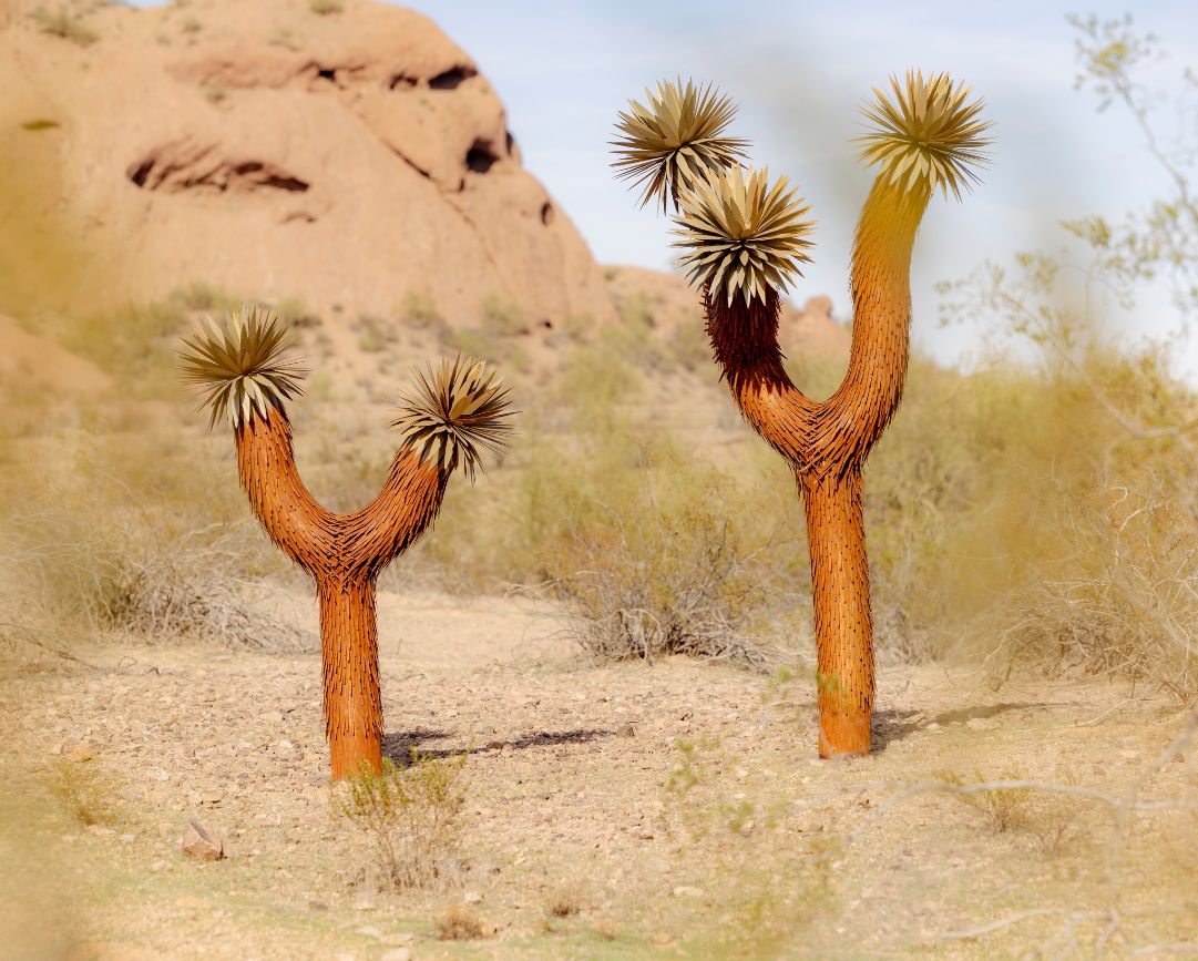 Joshua Tree