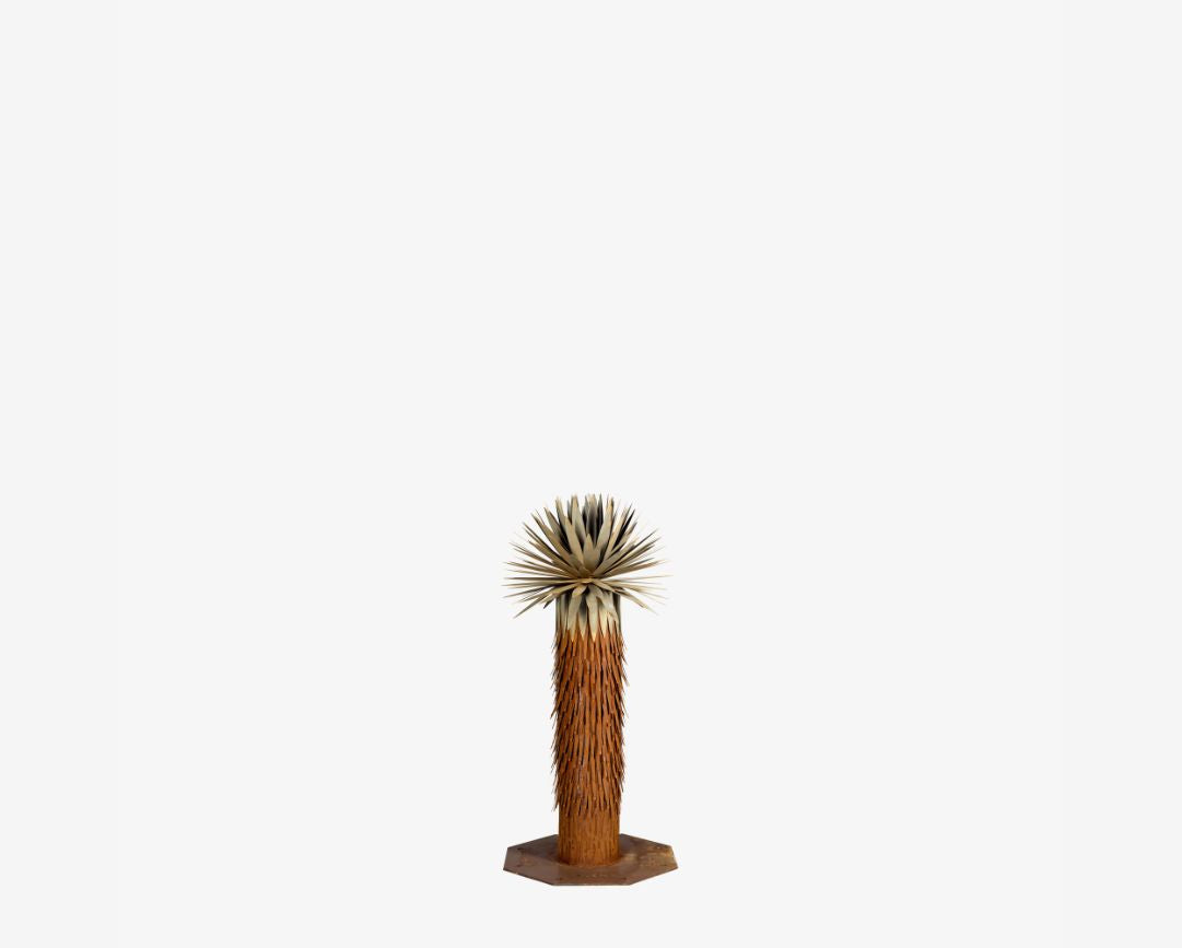 Joshua Tree