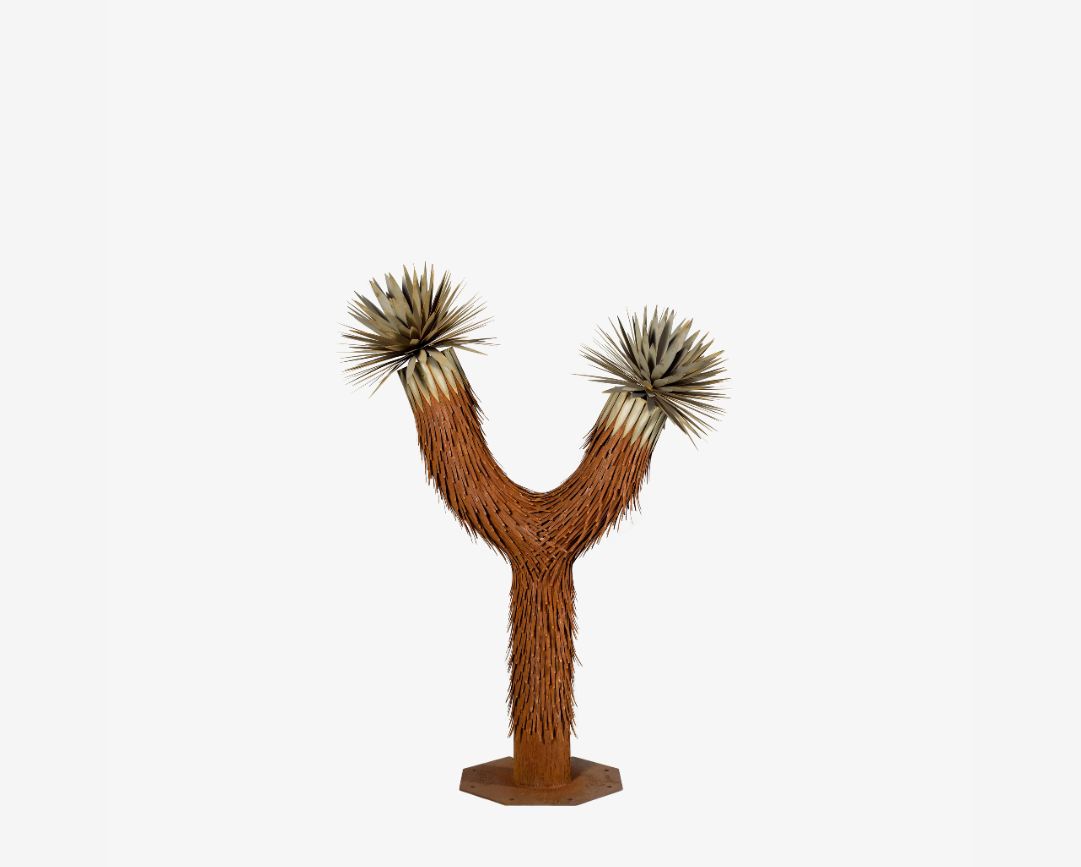 Joshua Tree