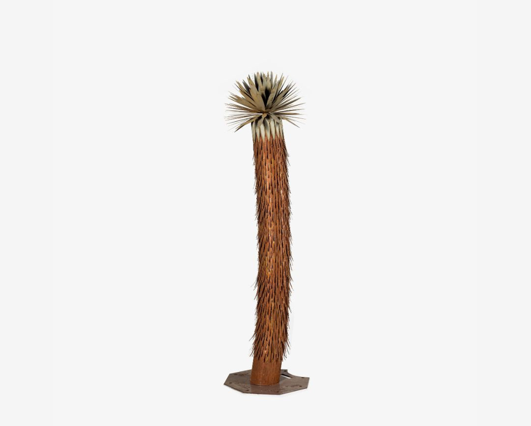 Joshua Tree