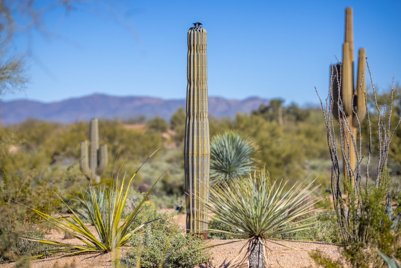 Metal Saguaro Cactus
