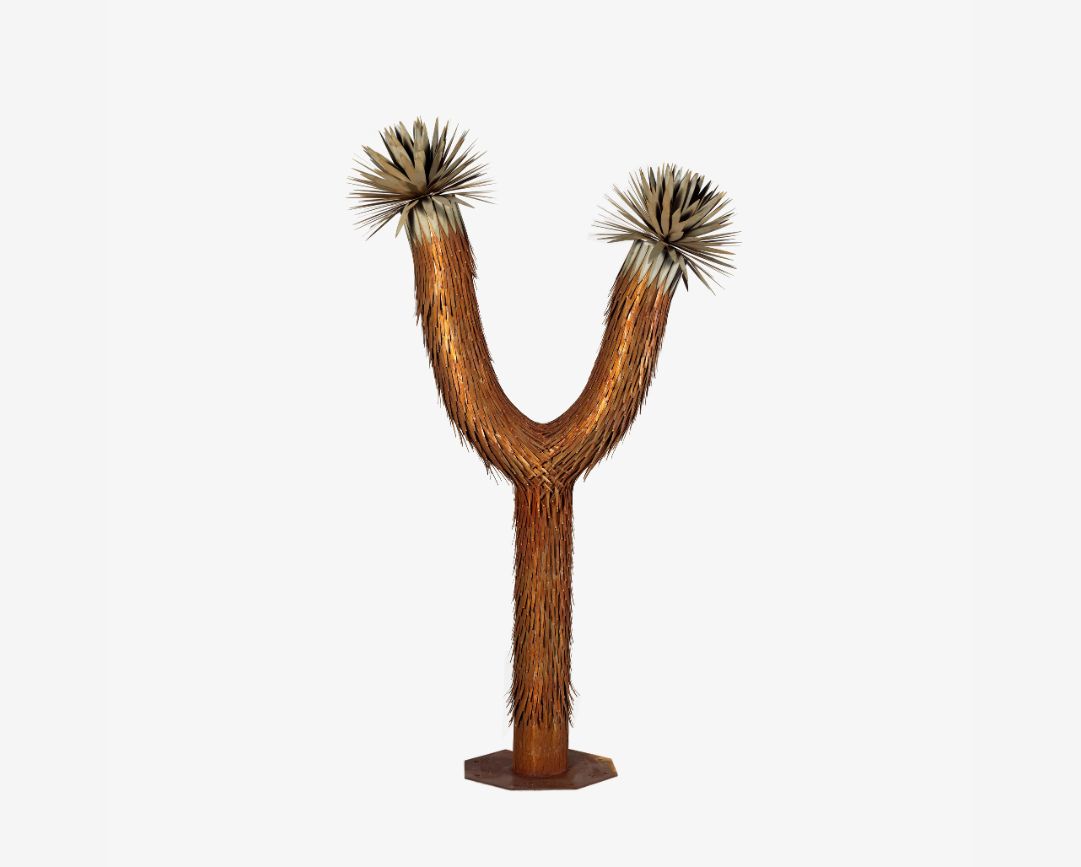 Joshua Tree