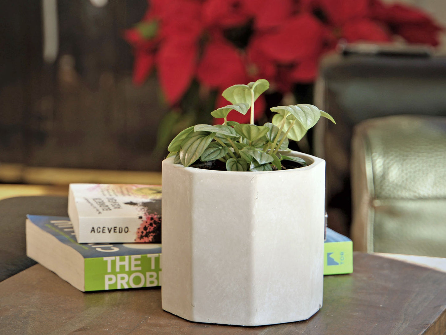 Geometry Stride Planter By Plantatorem