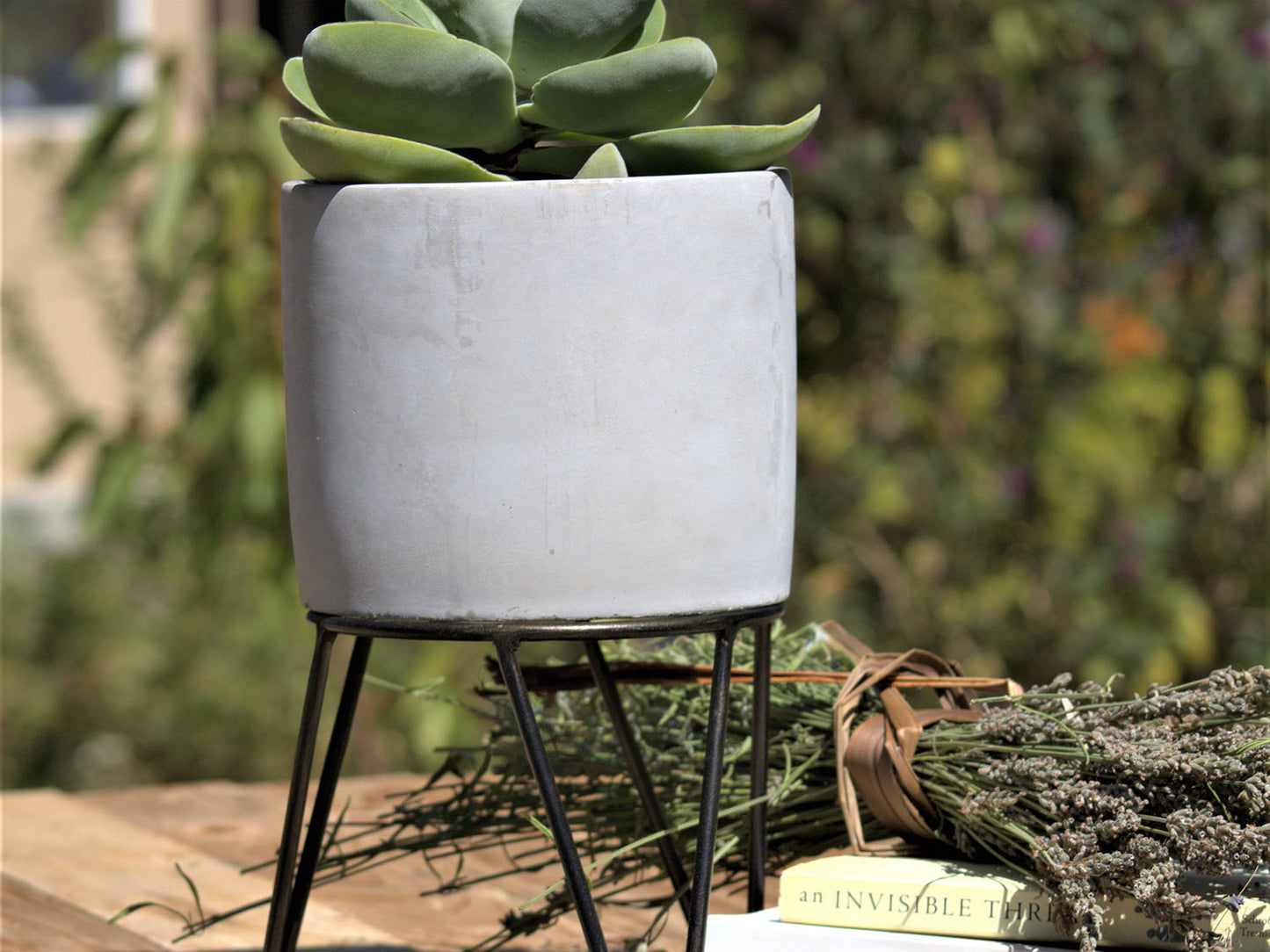 Cylinder Concrete Planter By Plantatorem