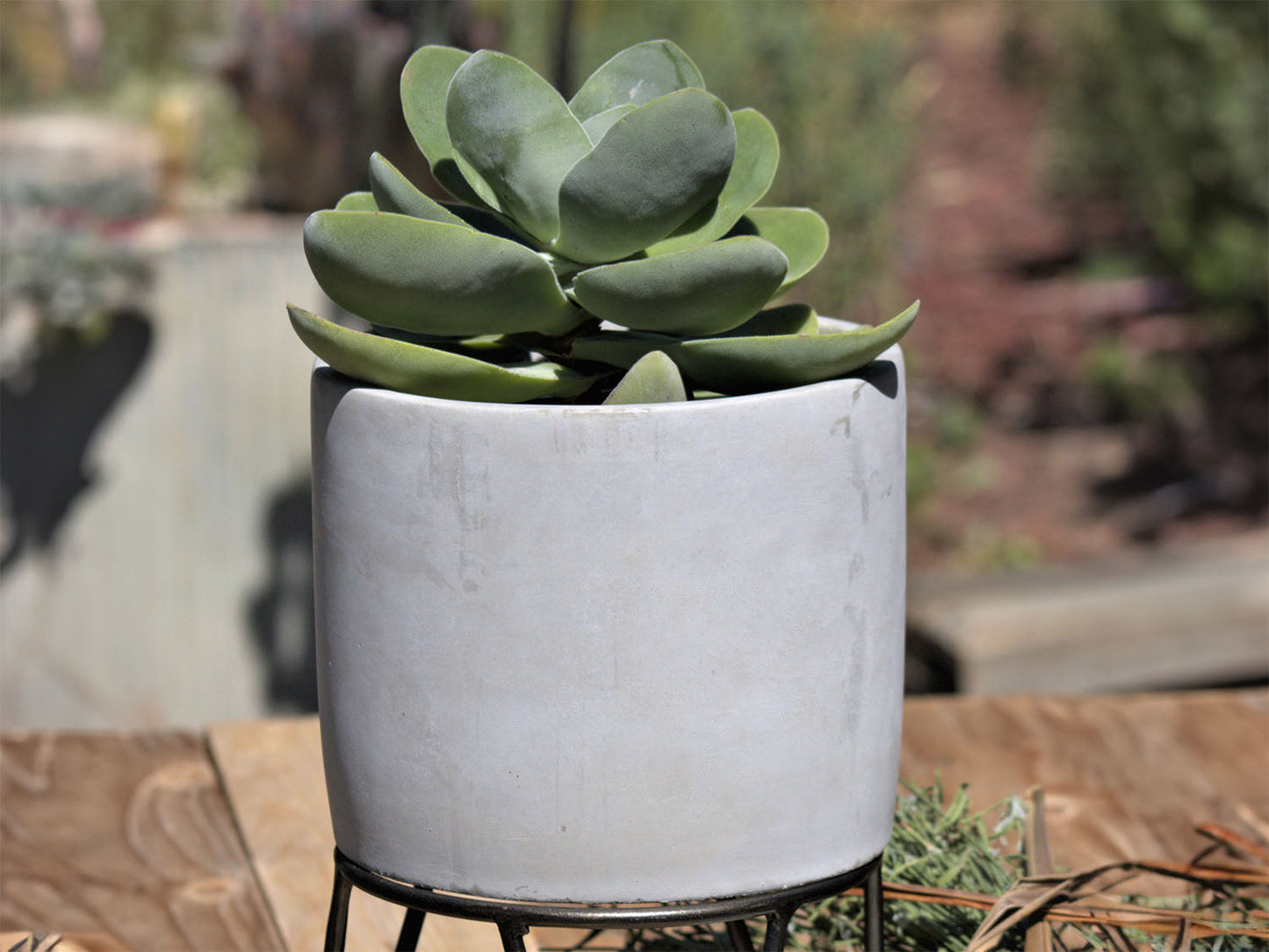 Cylinder Concrete Planter By Plantatorem