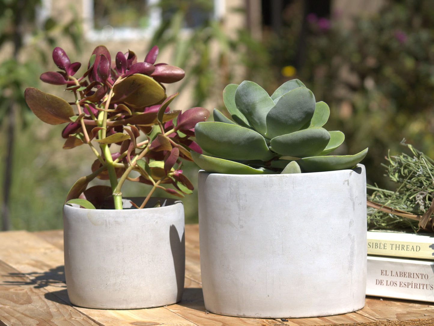Cylinder Concrete Planter By Plantatorem