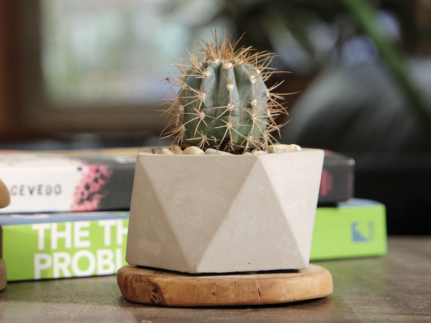 Geometry Pentagon Planter By Plantatorem