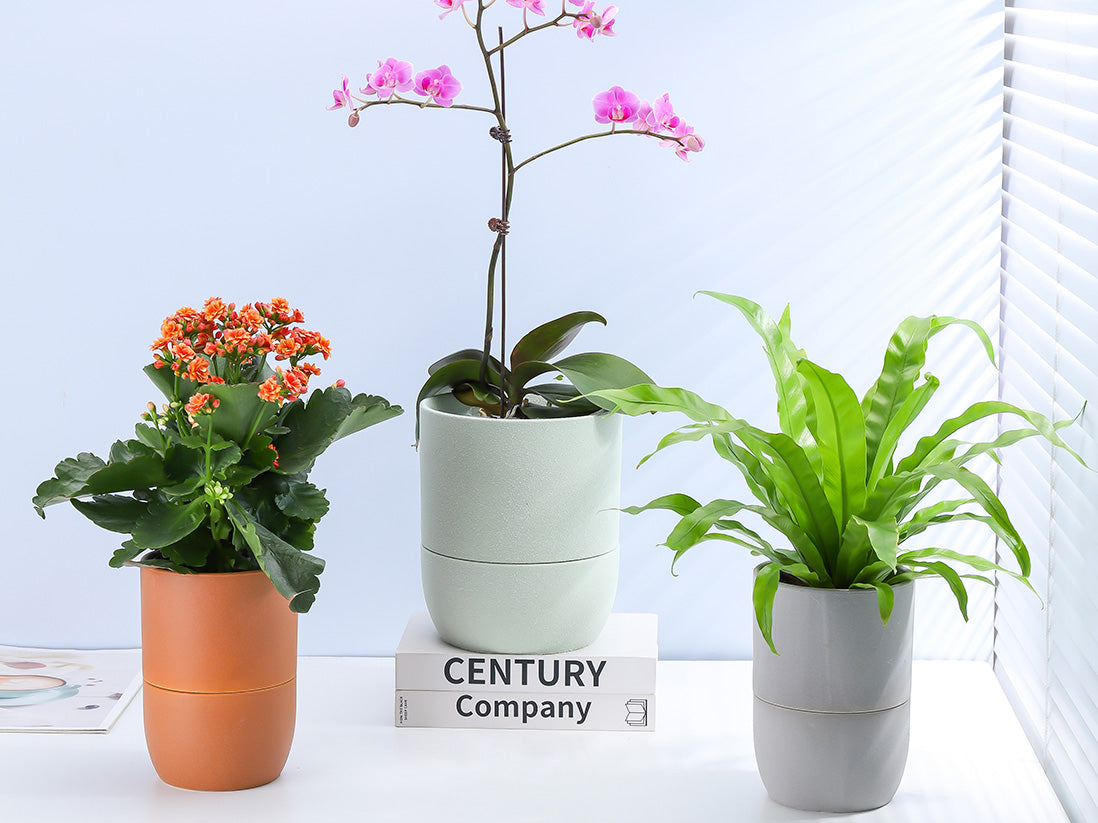 Urban Dweller Self-Watering Pot- Sand By Plantatorem