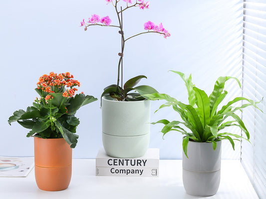 Urban Dweller Self-Watering Pot- Sand By Plantatorem