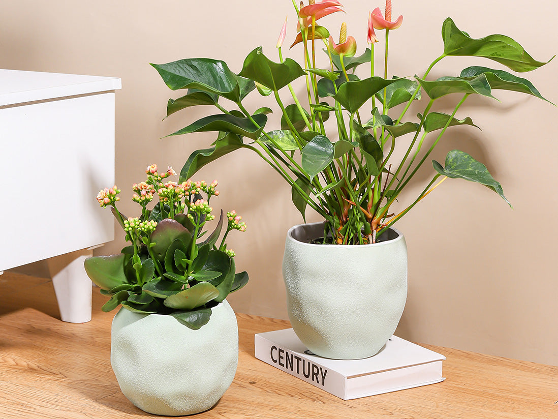 Hand Formed Grower Pot By Plantatorem