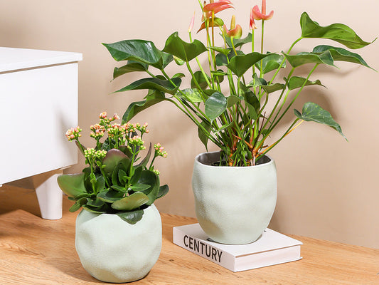 Hand Formed Grower Pot By Plantatorem
