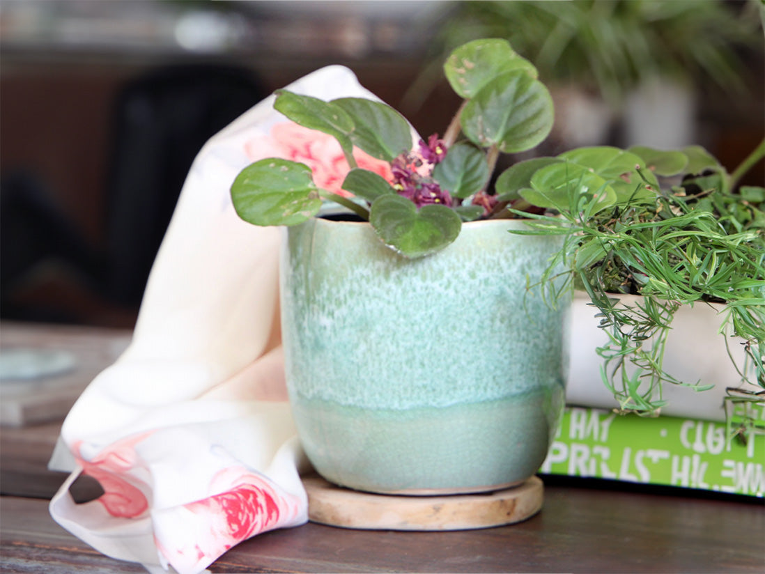 Jewel Teacup Planter By Plantatorem