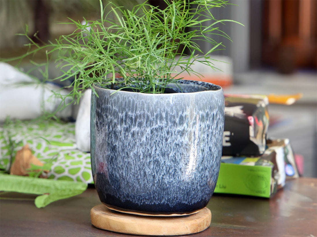 Jewel Teacup Planter By Plantatorem
