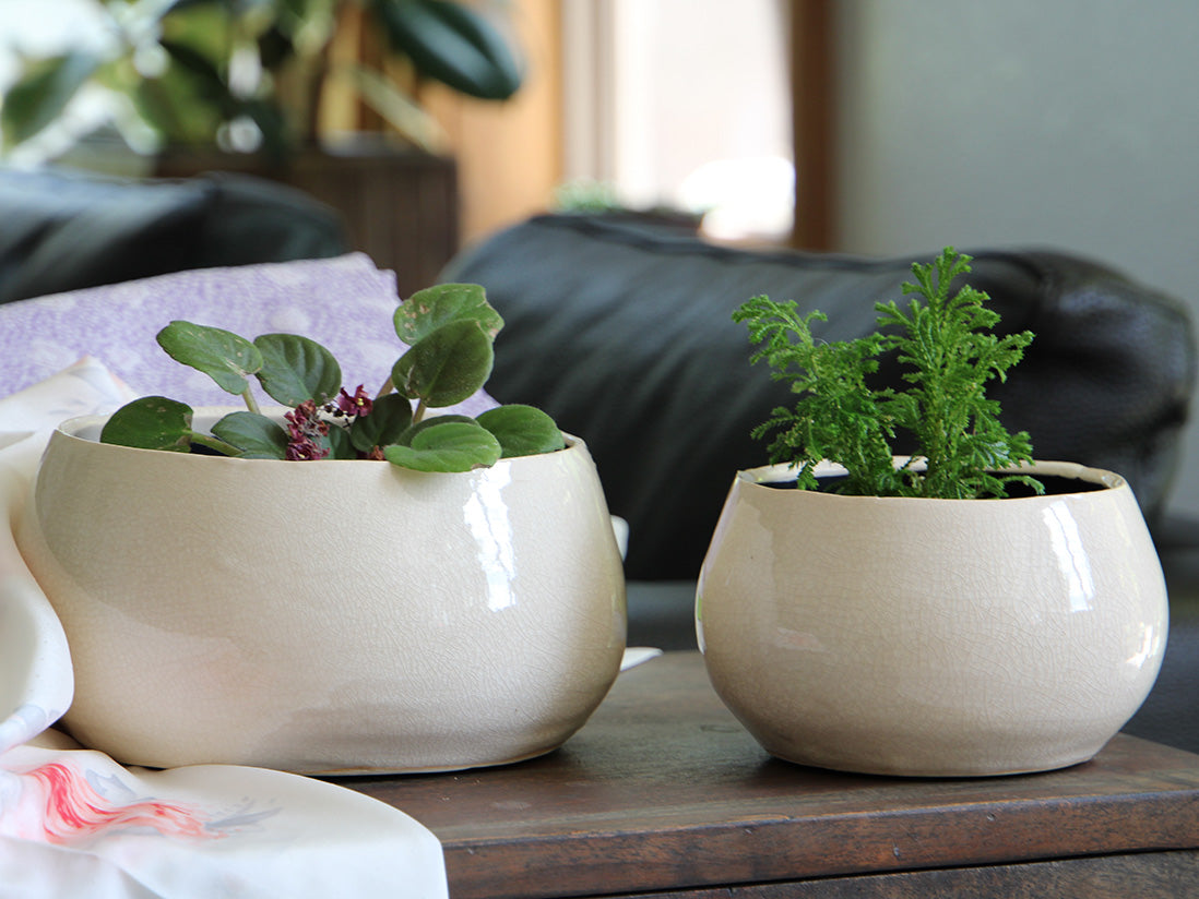 Jewel Freeform Bowl By Plantatorem