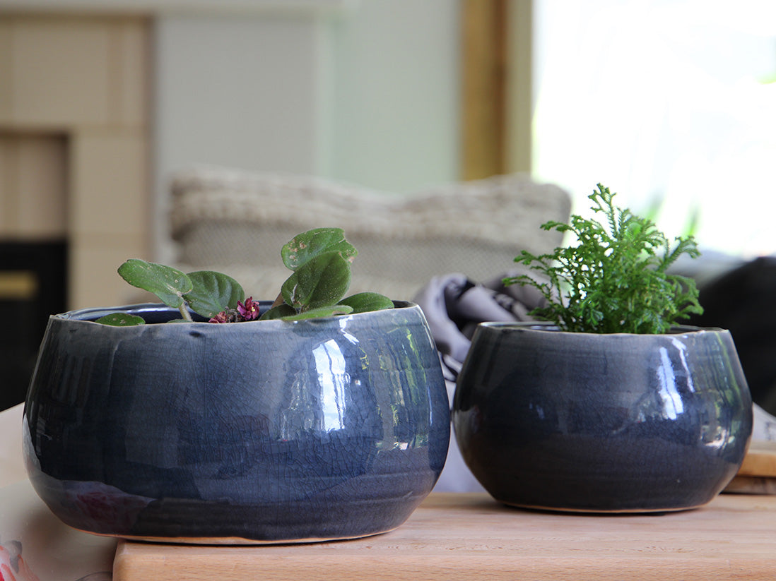 Jewel Freeform Bowl By Plantatorem