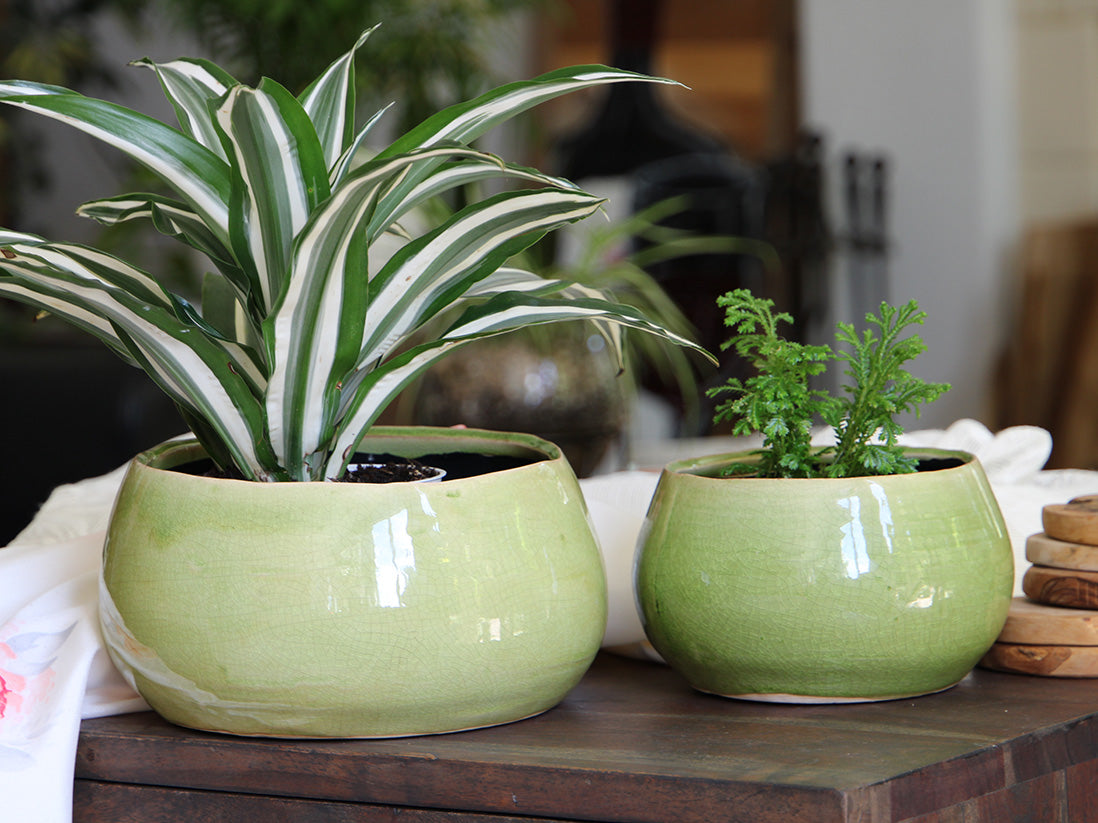 Jewel Freeform Bowl By Plantatorem