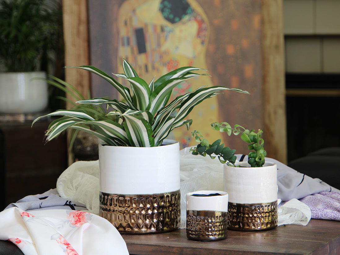 Jewel Cache Pot By Plantatorem