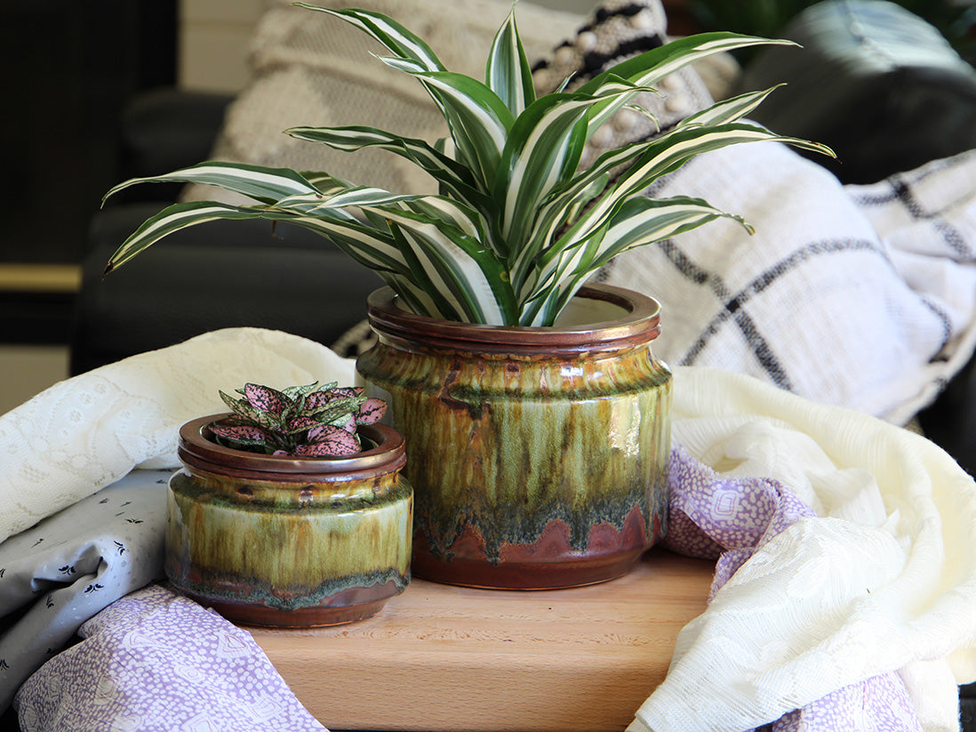 Jewel Self-Watering Planter By Plantatorem