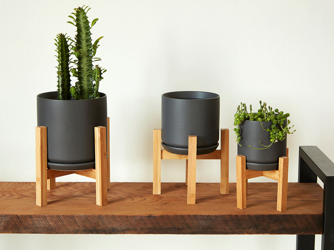 Cylinder with Attached Saucer-5.0" x 4.5" By Plantatorem
