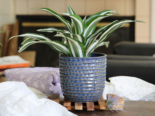 Honeycomb Planter 7.5" D x 7.0" H By Plantatorem