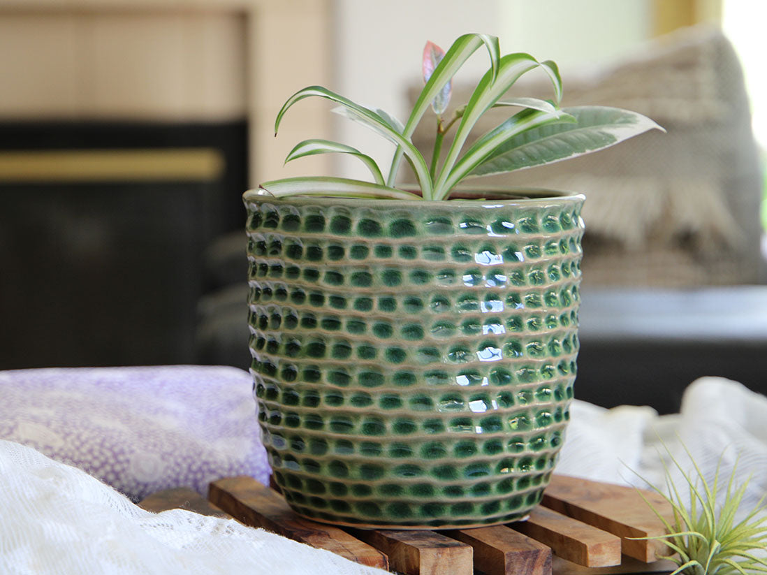 Honeycomb Planter- 5.5" x 5.0" By Plantatorem