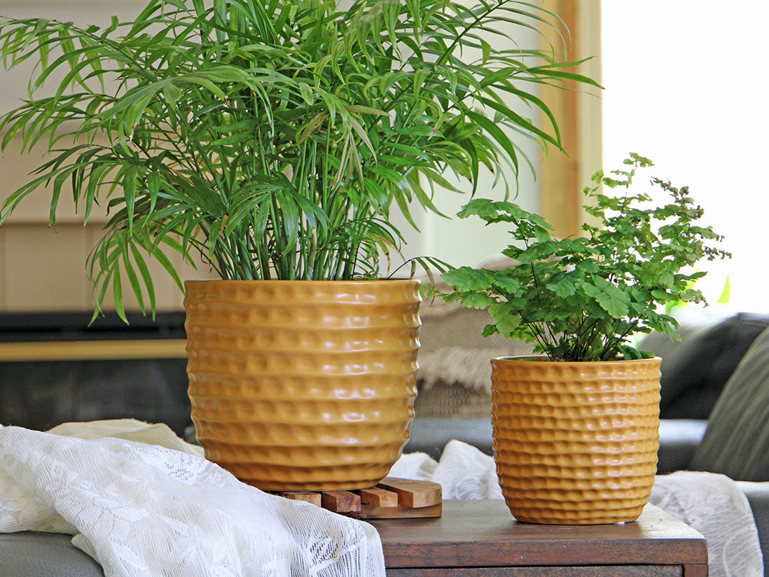 Honeycomb Planter- 5.5" x 5.0" By Plantatorem