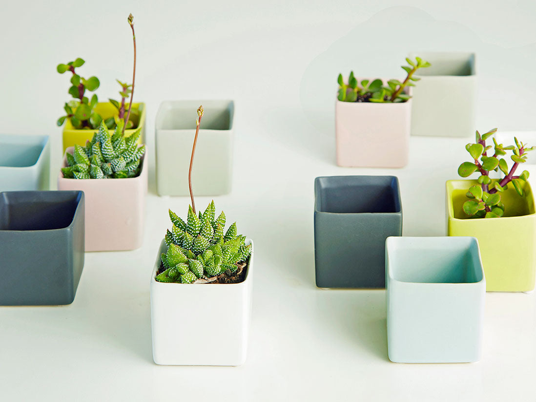 Cube Cache Pot- 2.5" x 2.5" By Plantatorem