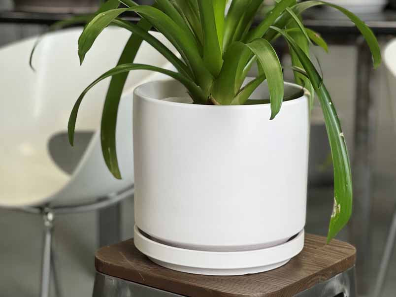 Mid Modern Planter With Detached Saucer "12.0" D x 10.5" H" By Plantatorem