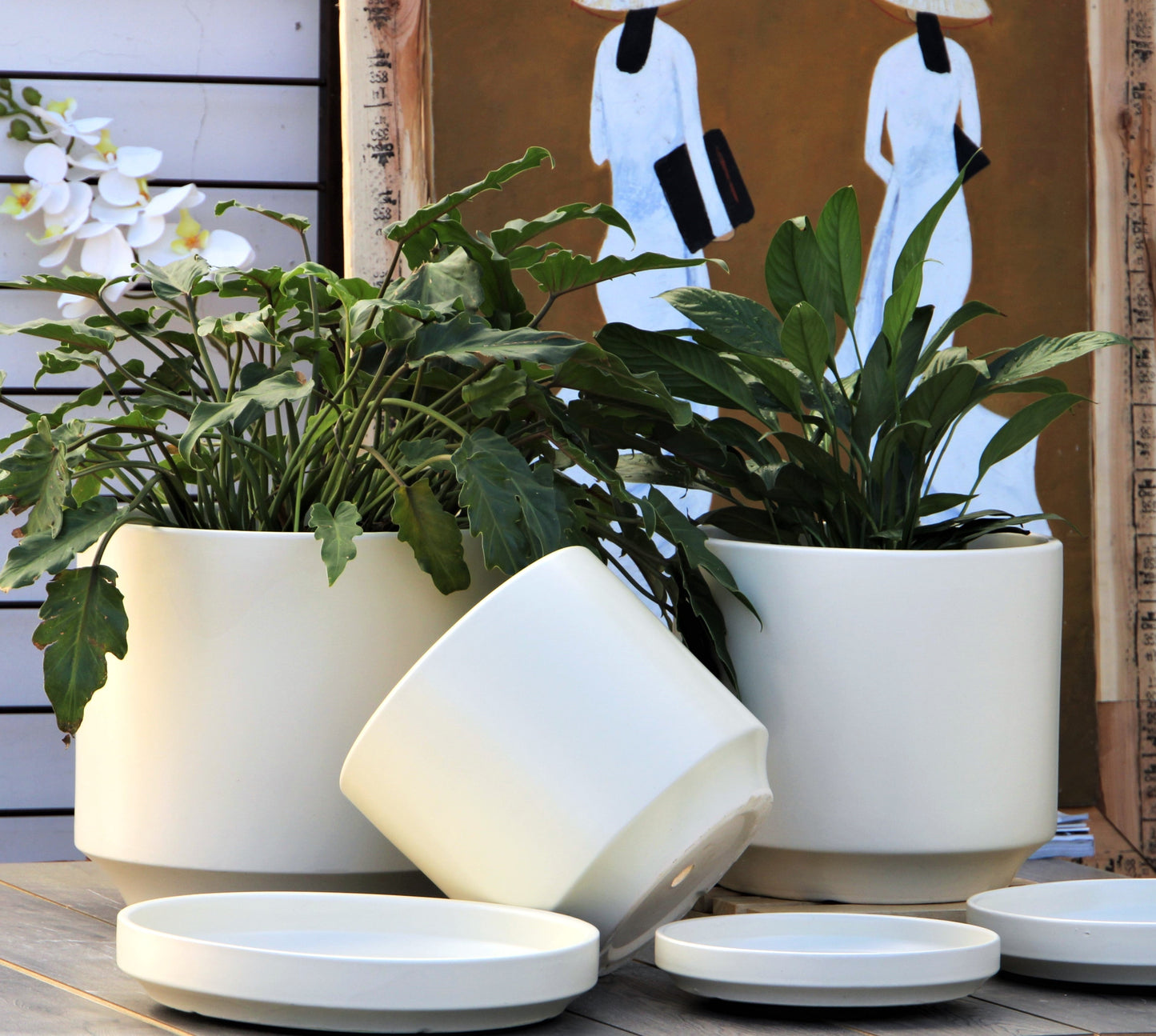Mid Modern Planter With Detached Saucer "14.0" D x 12.0" H" By Plantatorem