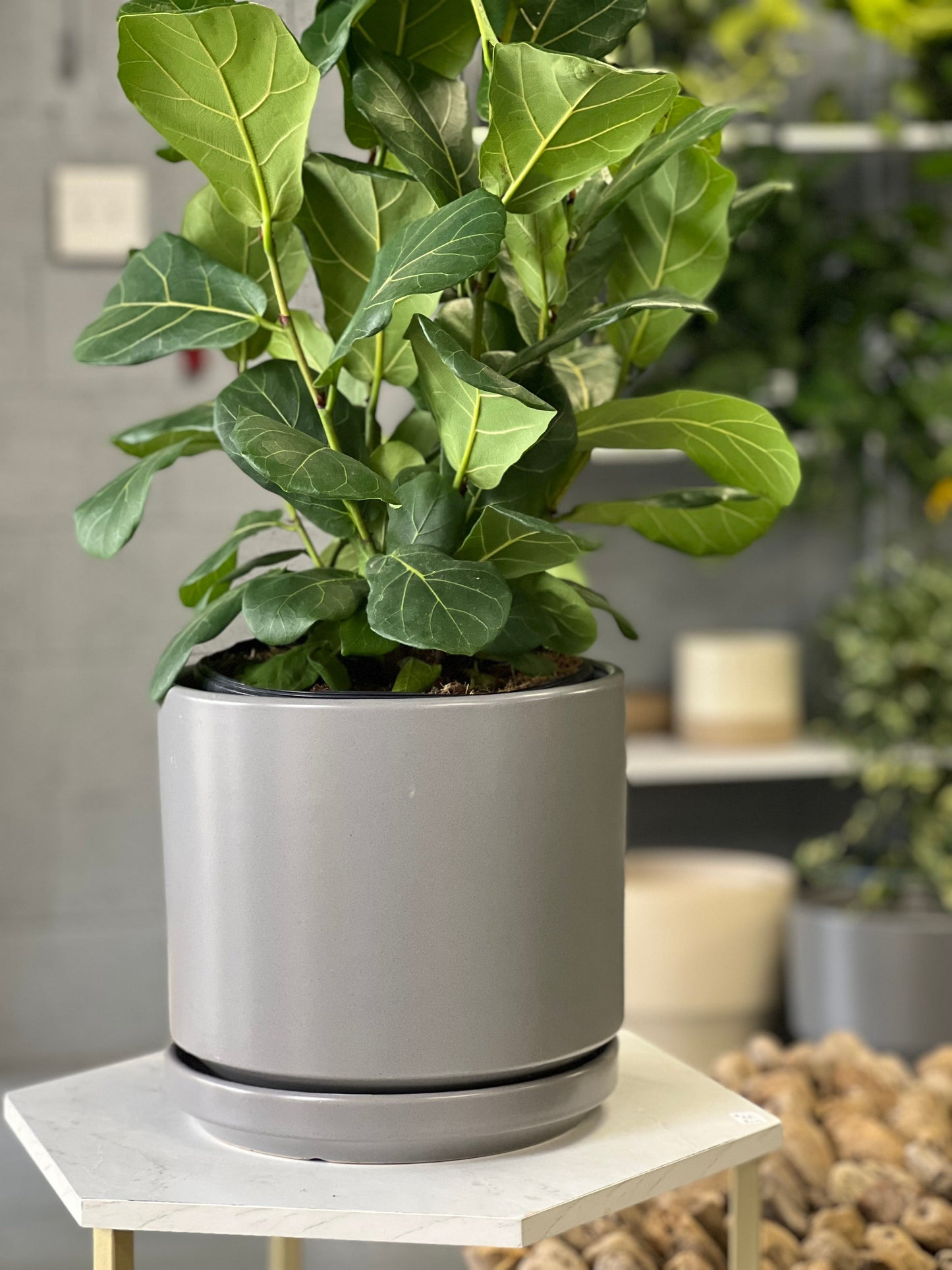 Mid Modern Planter With Detached Saucer "10.0" D x 9.0" H" By Plantatorem