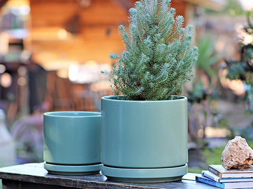 Mid Modern Planter With Detached Saucer "10.0" D x 9.0" H" By Plantatorem