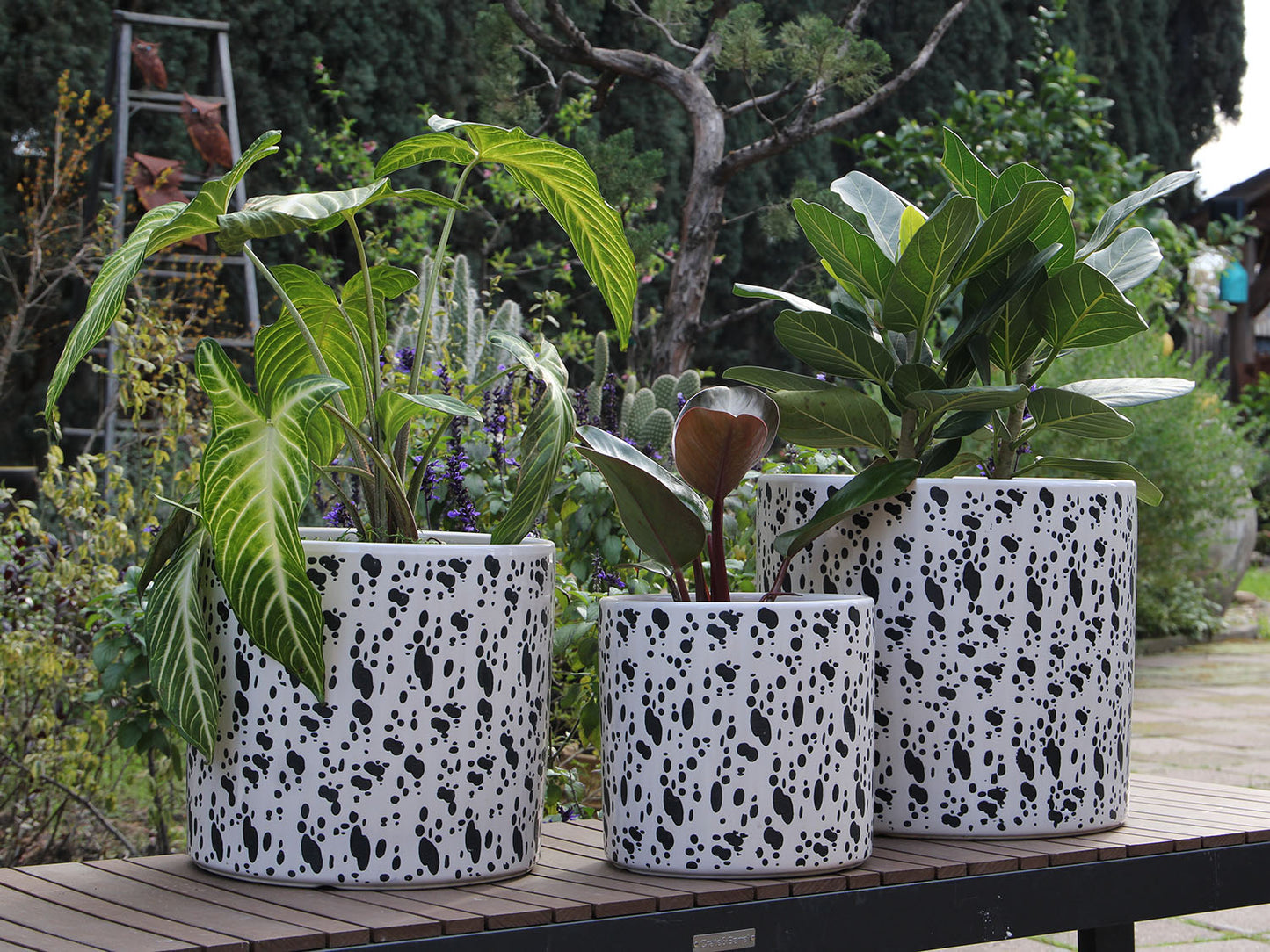 Easter Lilly Planter By Plantatorem