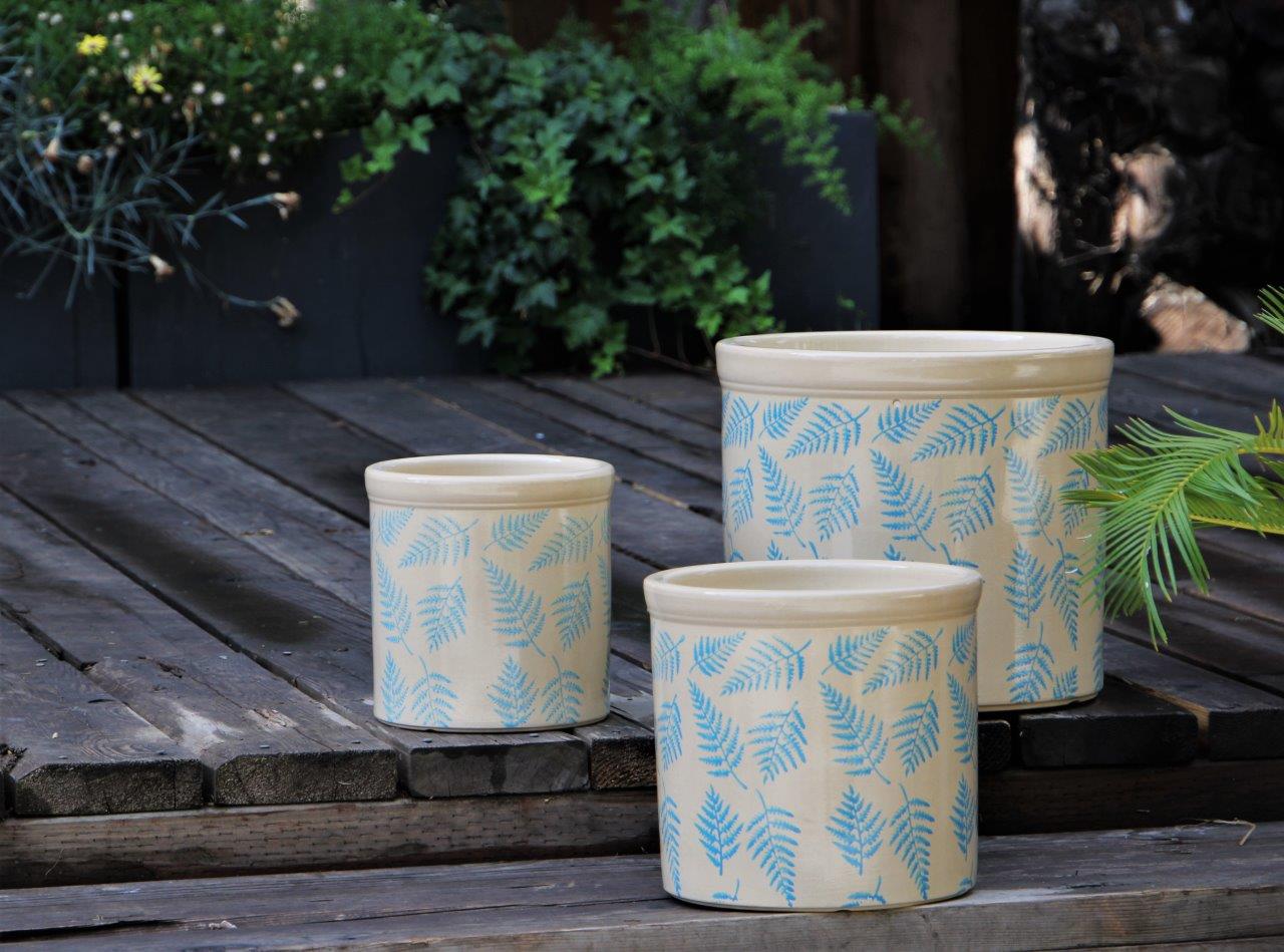 Fern Planters By Plantatorem