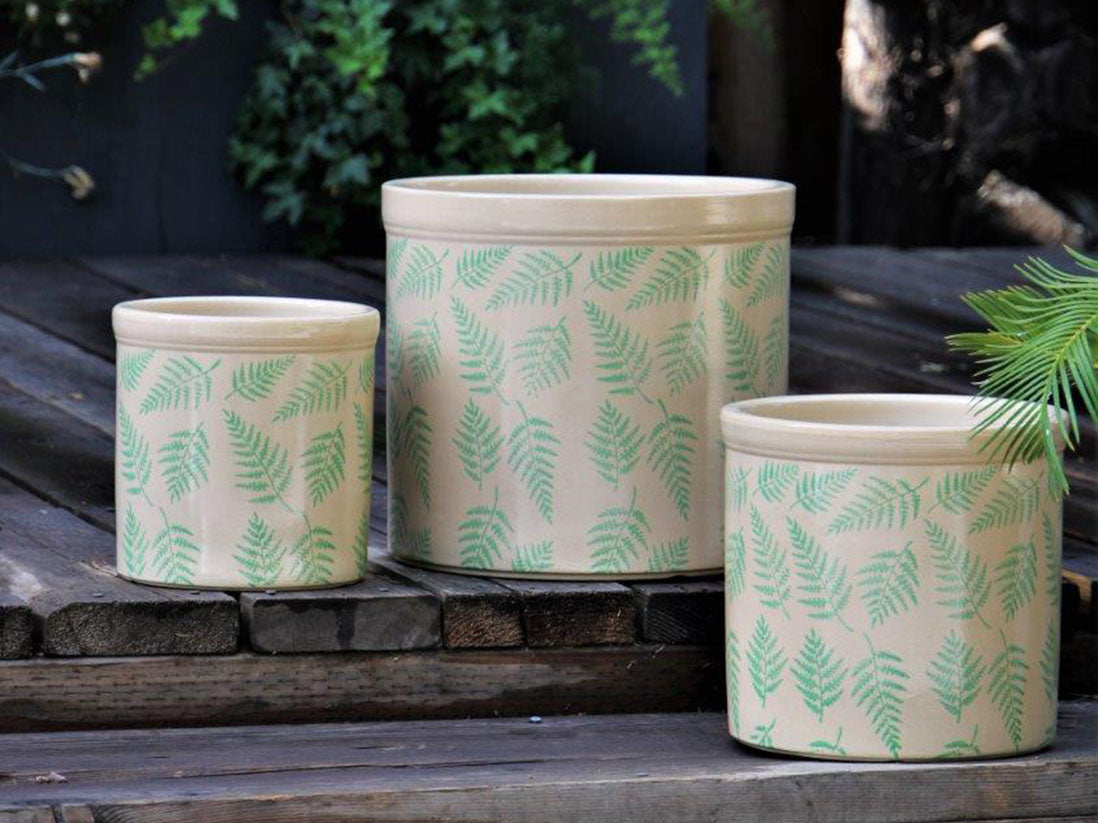 Fern Planters By Plantatorem
