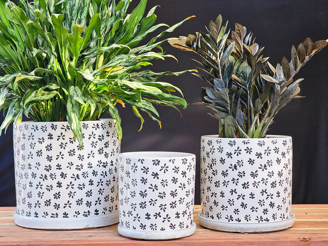 Easter Lilly Planter By Plantatorem