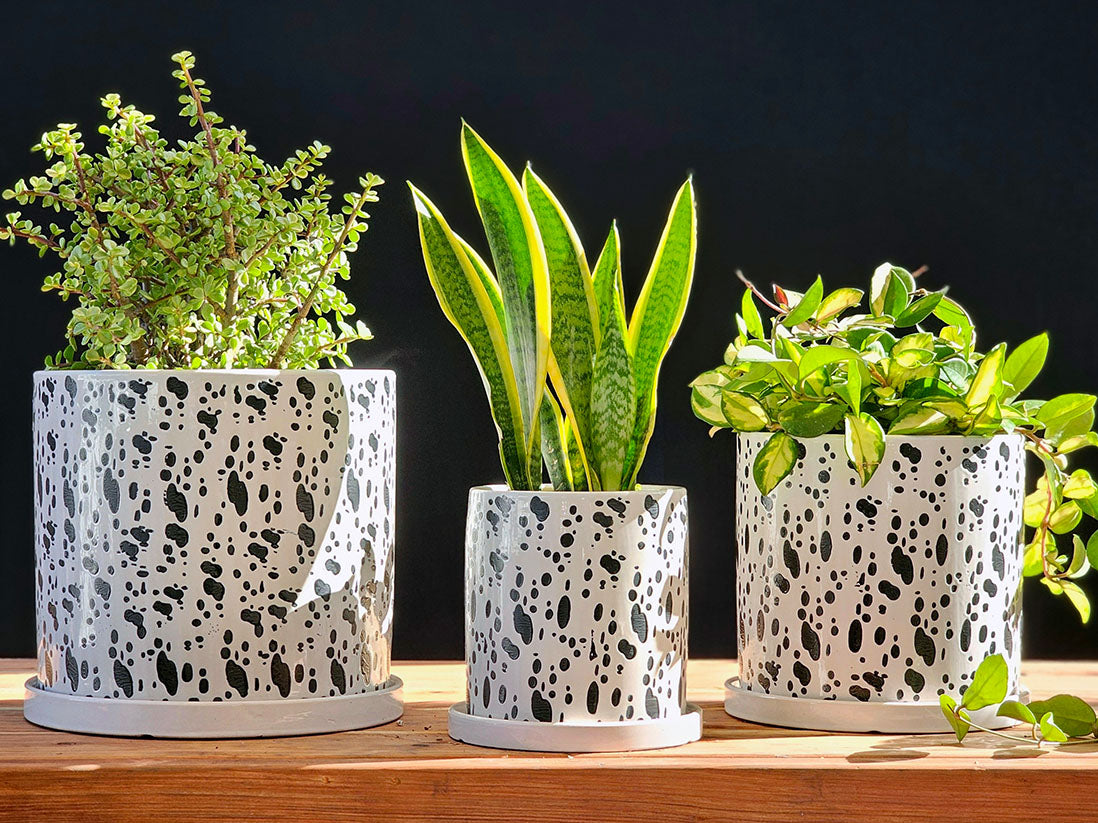 Easter Lilly Planter By Plantatorem