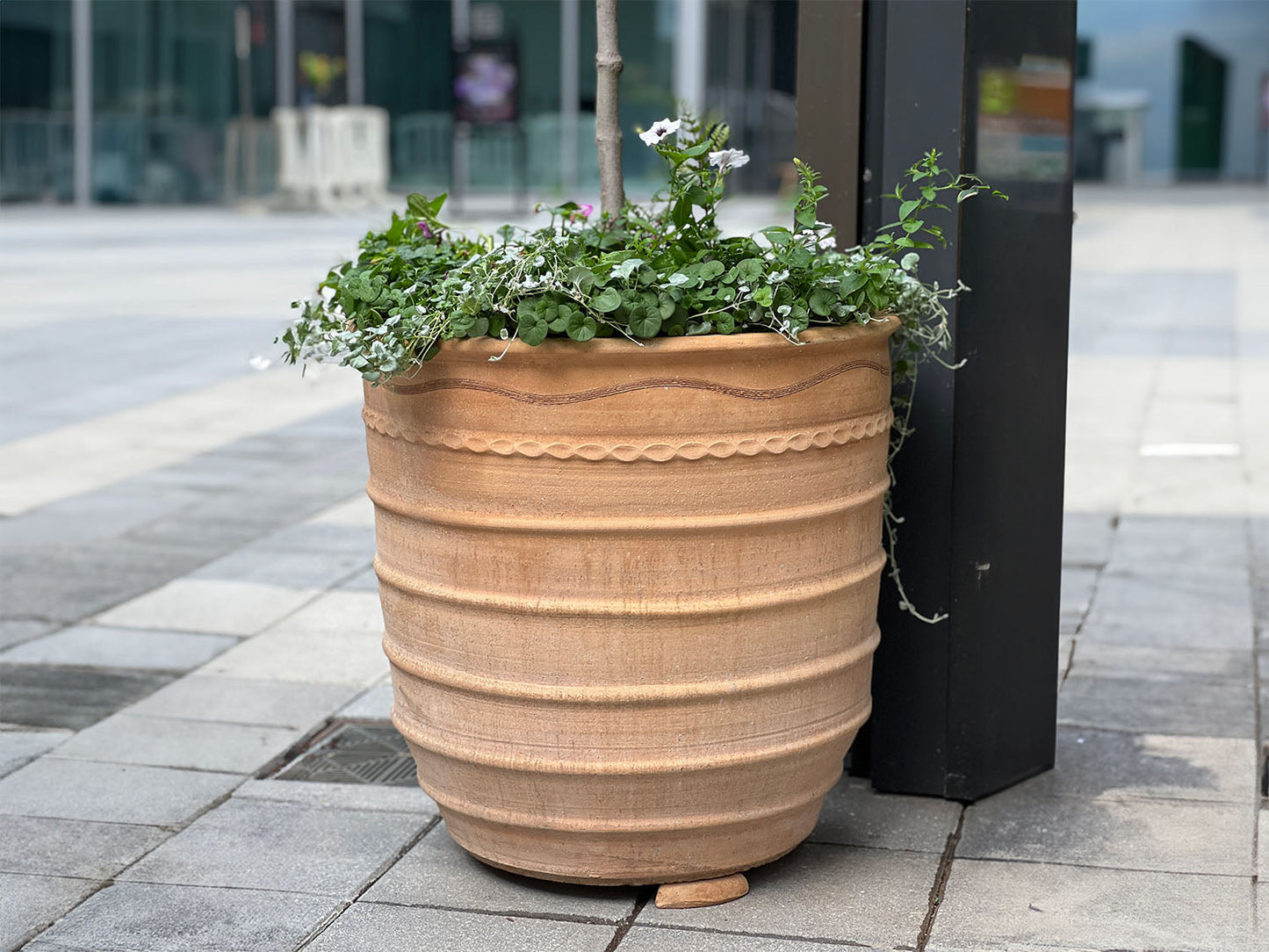Exara Planter By Plantatorem