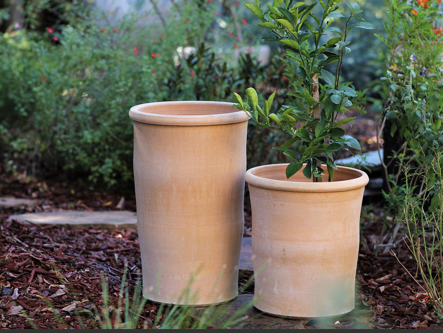 Solina Planter By Plantatorem