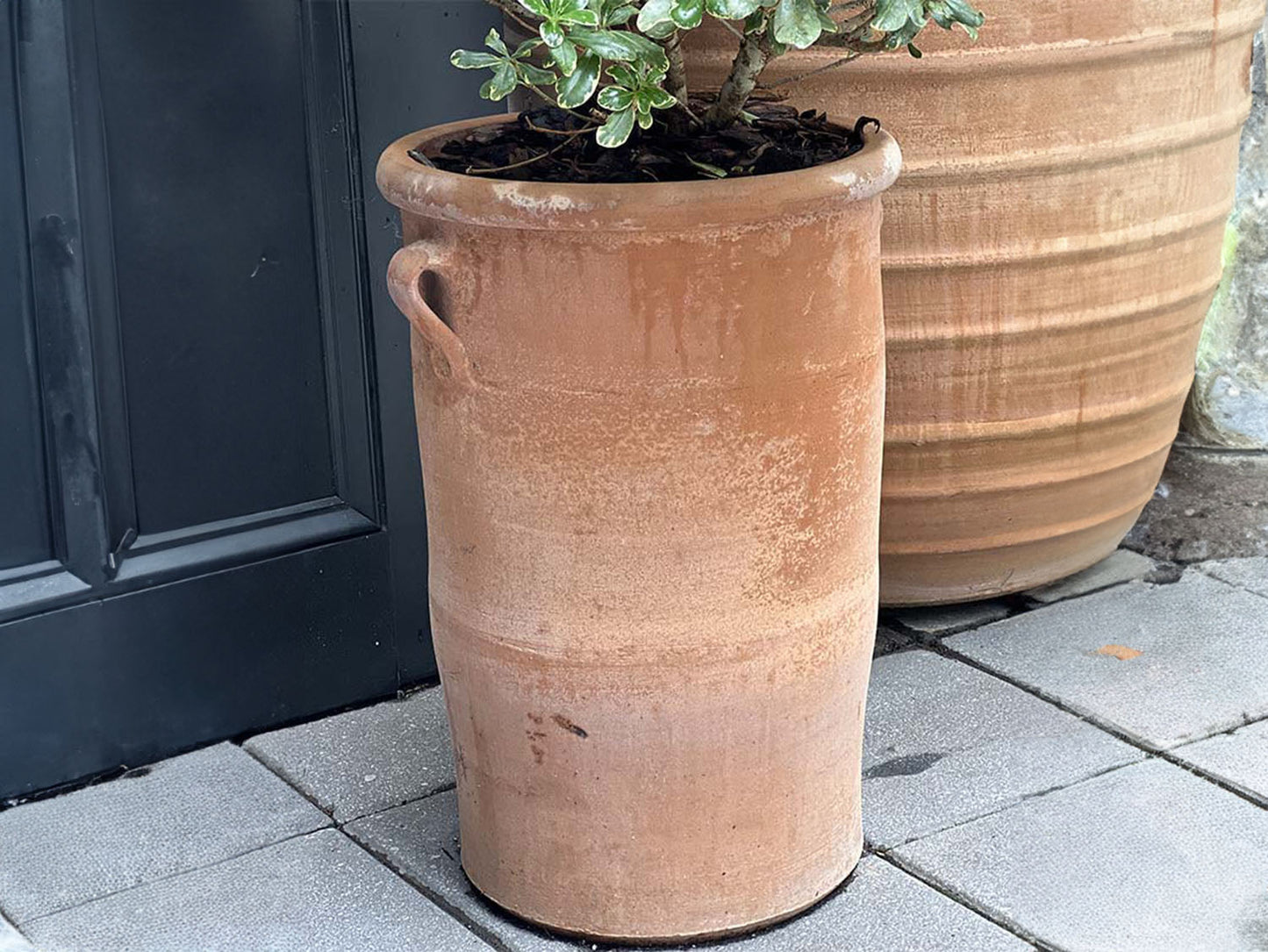 Solina Planter With Handles By Plantatorem