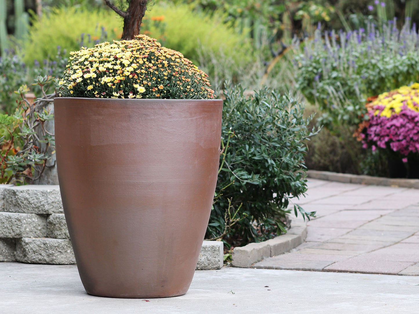 XLG Cone Planter - Set of 4 (Clay) By Plantatorem