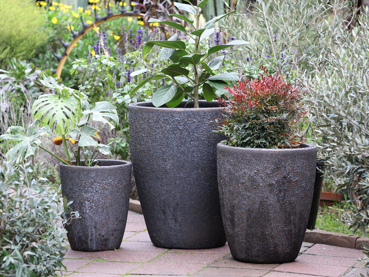 Cone Planter - Set of 3 (Glazed) By Plantatorem