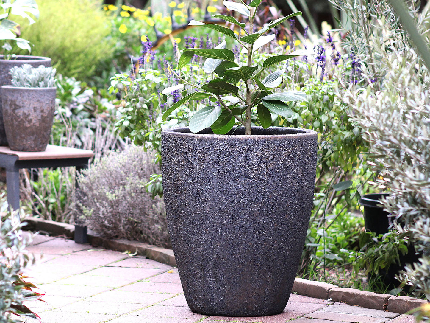 XLG Cone Planter - Set of 4 (Silver Rock) By Plantatorem