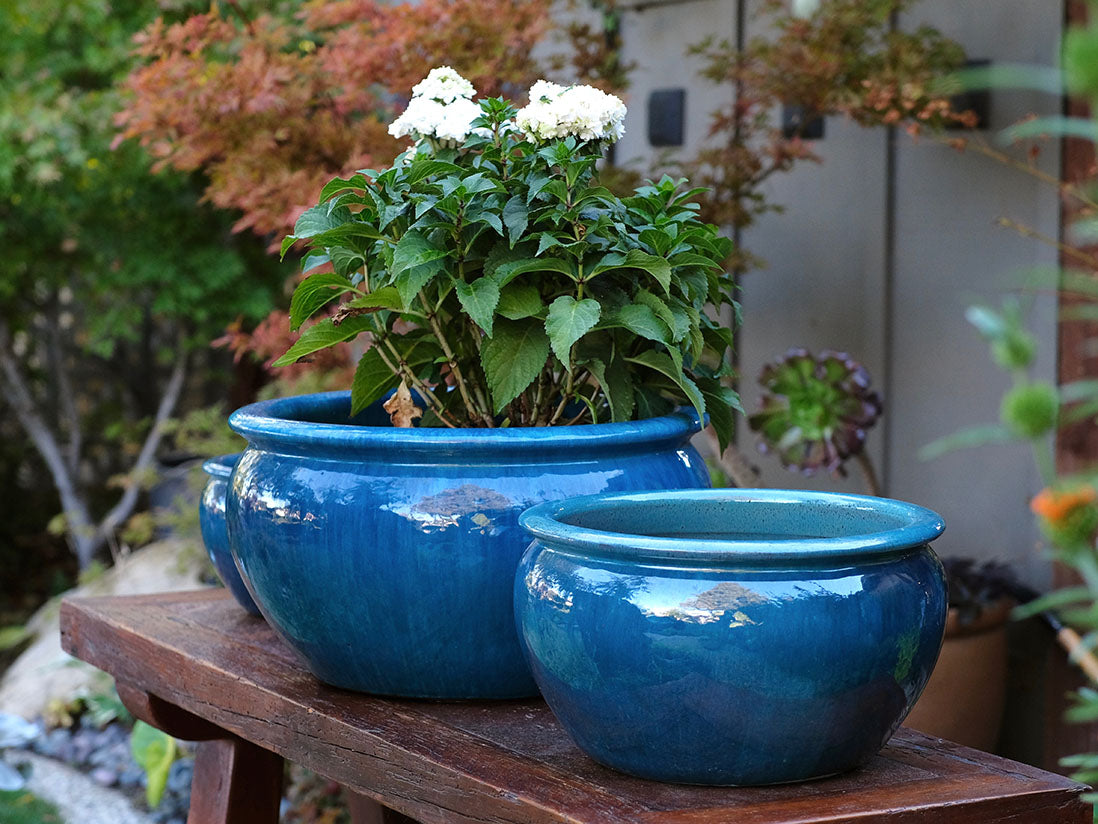 Low Jar Planter - Set of 3 By Plantatorem