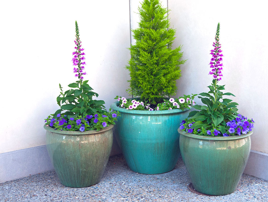 Fish Bowl Pots - Set of 3 By Plantatorem