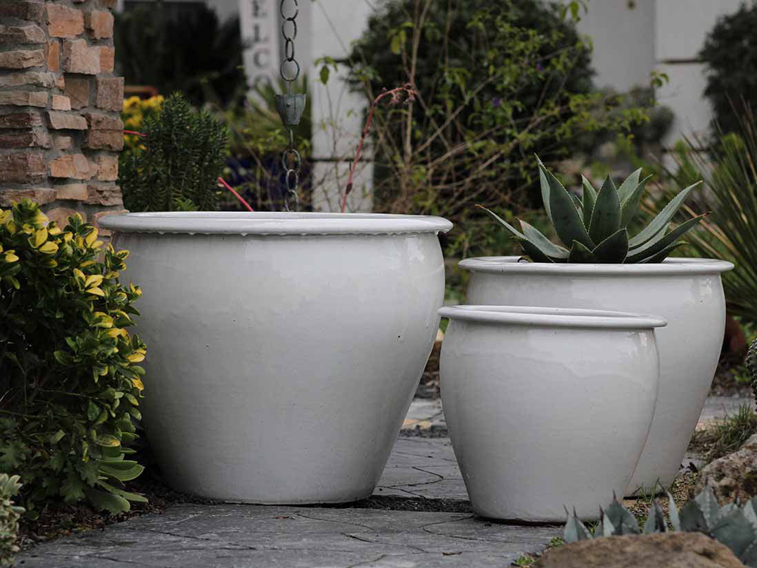 Fish Bowl Pots - Set of 3 By Plantatorem