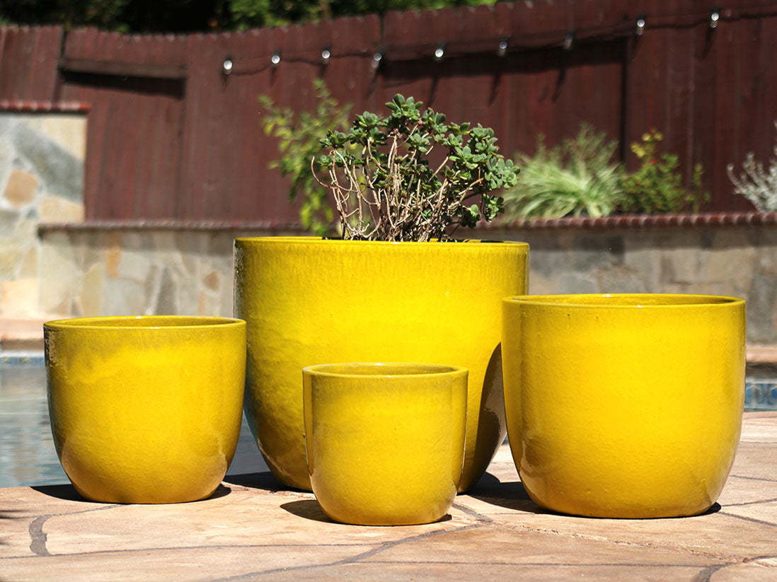 Egg Shell Pots - Set of 4 By Plantatorem